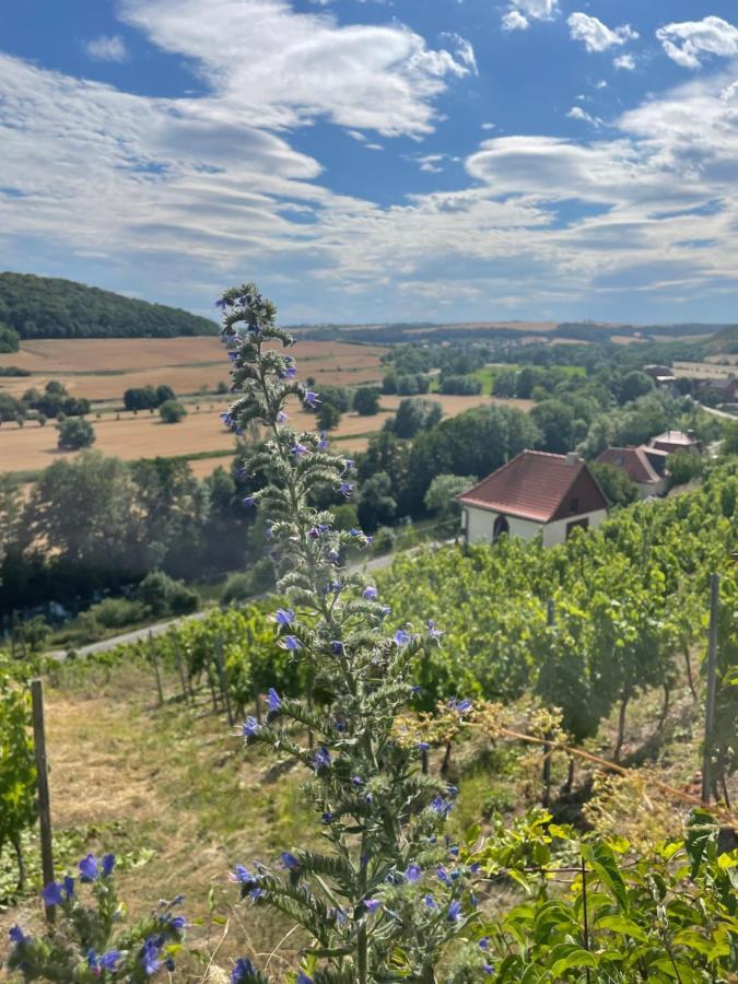 Ferienhaus Traminer Im Weinberg Freyburg Exterior foto